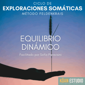 Equilibrio Dinámico