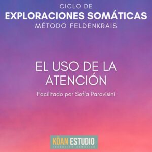 El Uso de la Atención